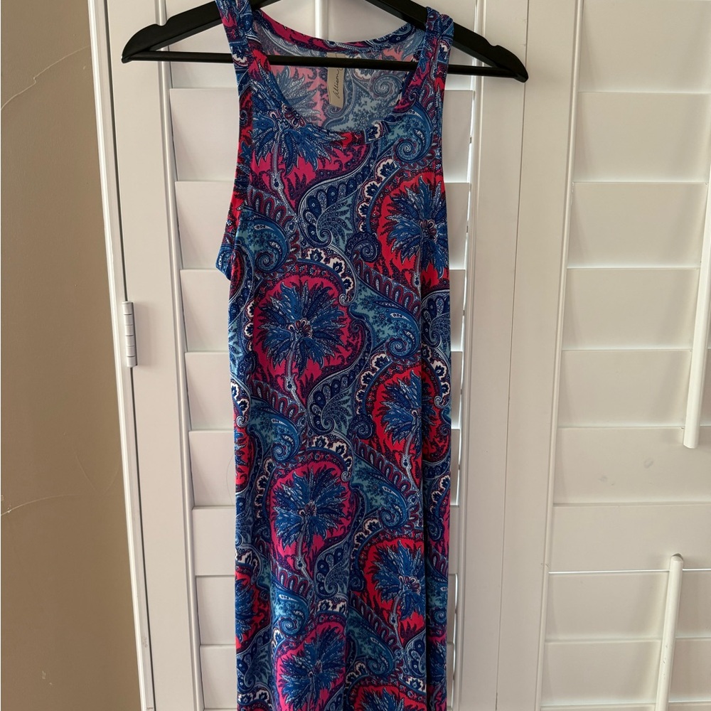 Allison Joy Blue and Pink Maxi Dress